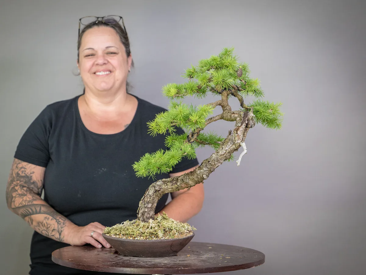 At the Bonsai Kreativ workshop with Václav Stropek: Workshop work on a pine with a curved trunk and prominent deadwood.