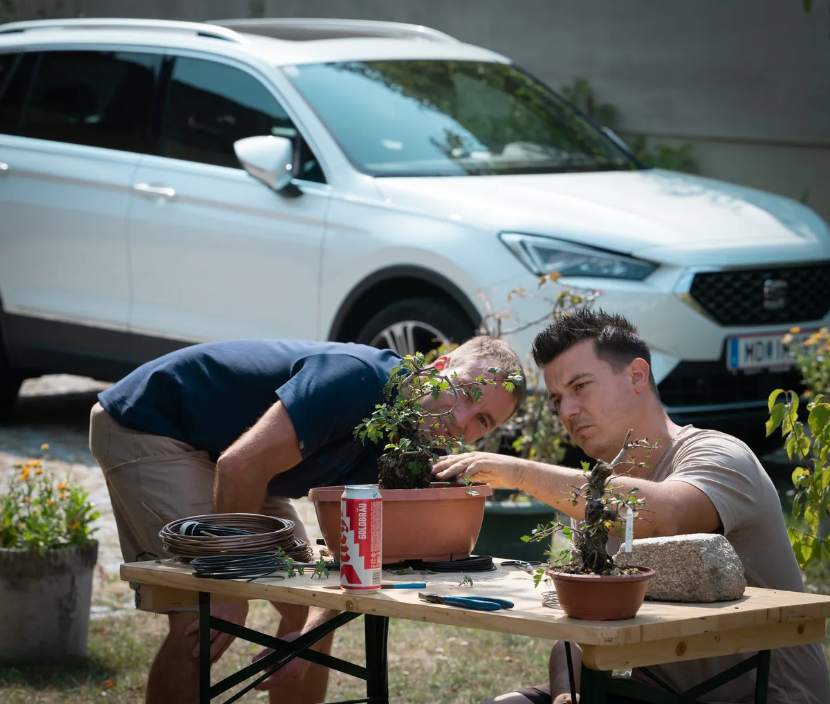 At the Bonsai Kreativ workshop with Yannick Kiggen: A shared discussion around a bonsai in a small format.