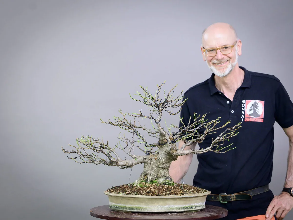 At the Bonsai Kreativ workshop with Yannick Kiggen: Workshop work on a broadleaf bonsai without leaves, with clearly visible branching.