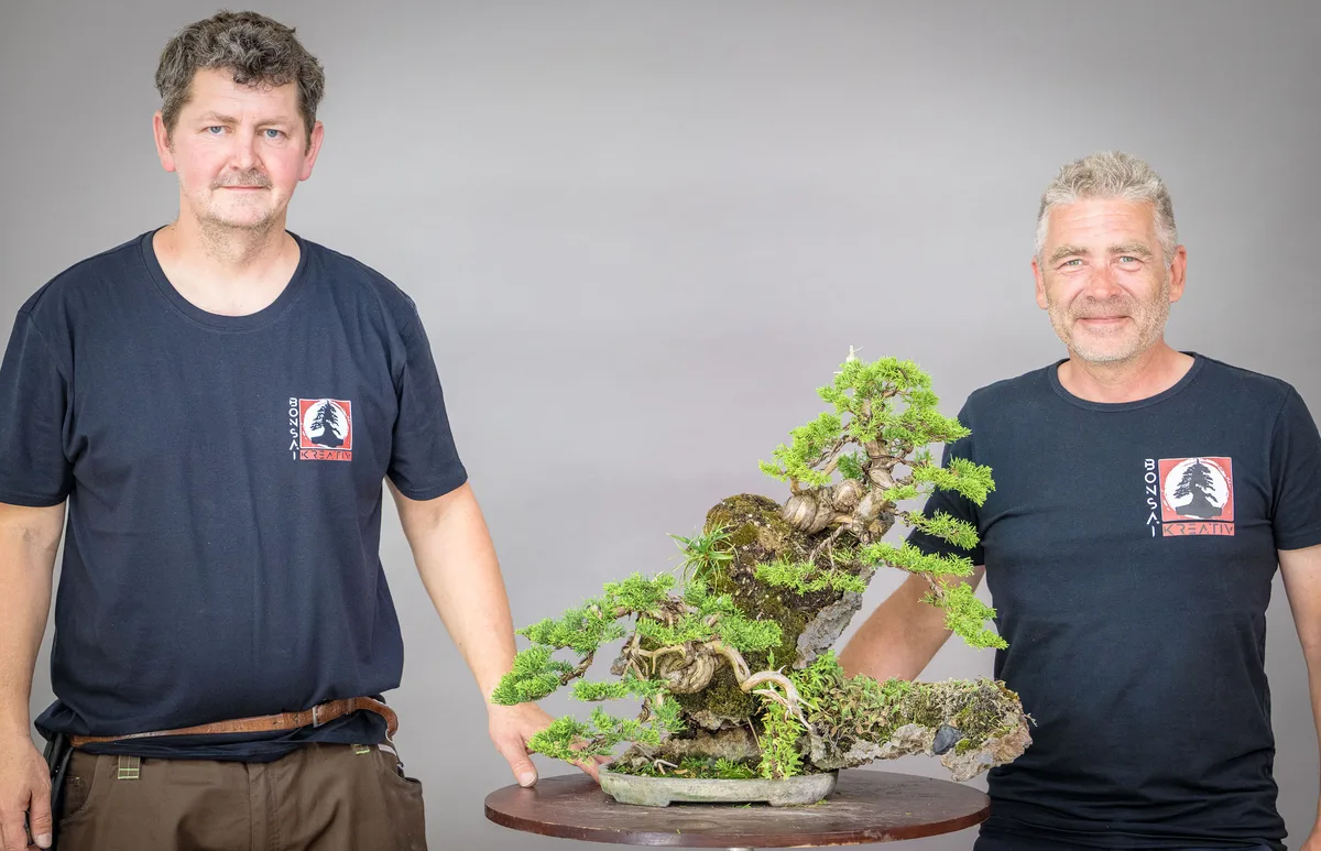 At the Bonsai Kreativ workshop with Václav Stropek: Workshop work on a juniper on a rock composition, with a dense crown.