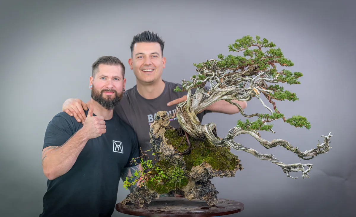 Beim Bonsai-Kreativ-Workshop mit Yannick Kiggen: Bearbeitung eines Wacholders auf einer Felsgestaltung, mit markantem Totholz.