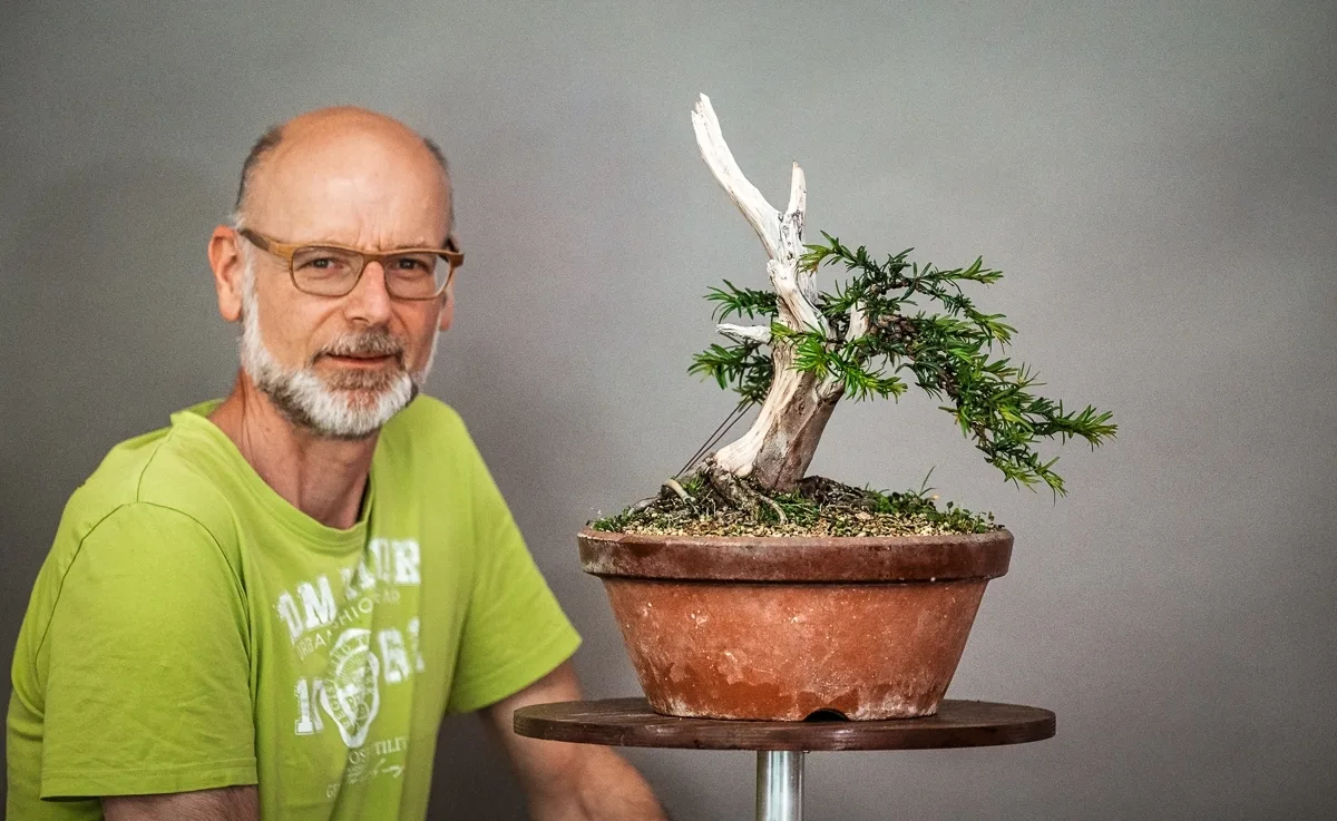 Beim Bonsai-Kreativ-Workshop mit Jan Culek: Bearbeitung einer Eibe mit markantem Totholz, in geneigter Position.