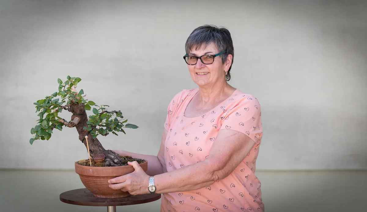 Beim Bonsai-Kreativ-Workshop mit Nik Rozman: Bearbeitung eines Laubbaums im kleinen Format, mit belaubter Krone.