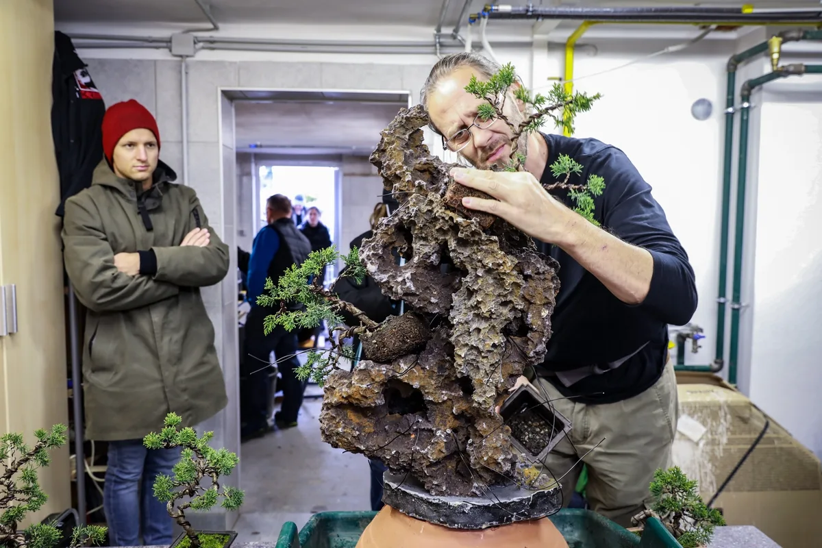 At the Bonsai Kreativ workshop with Josef Burschl: Hands at work on a bonsai on a rock composition.