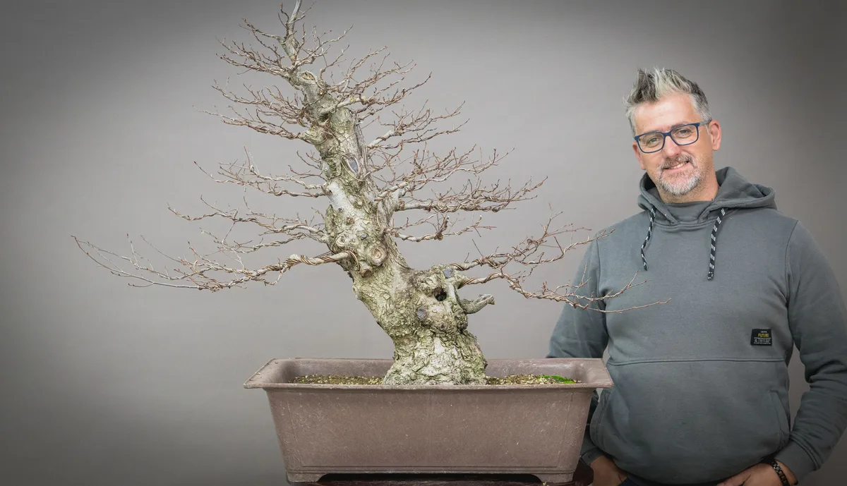 Teilnehmer bearbeitet einen unbelaubten Bonsai mit kräftigem Stamm und fein gedrahteten Ästen.