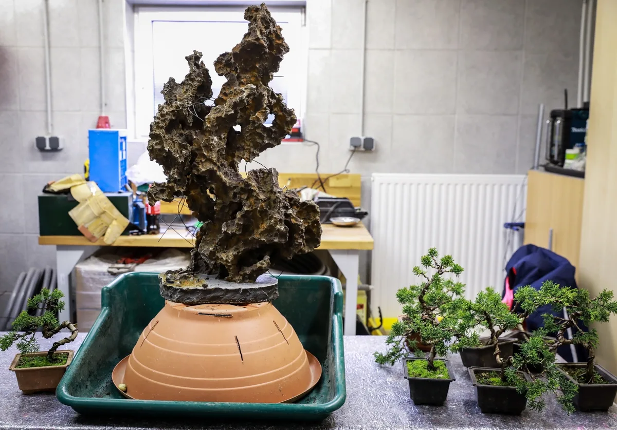 At the Bonsai Kreativ workshop with Josef Burschl: A rock composition in an upright form, with clearly visible surface texture at the workshop table.