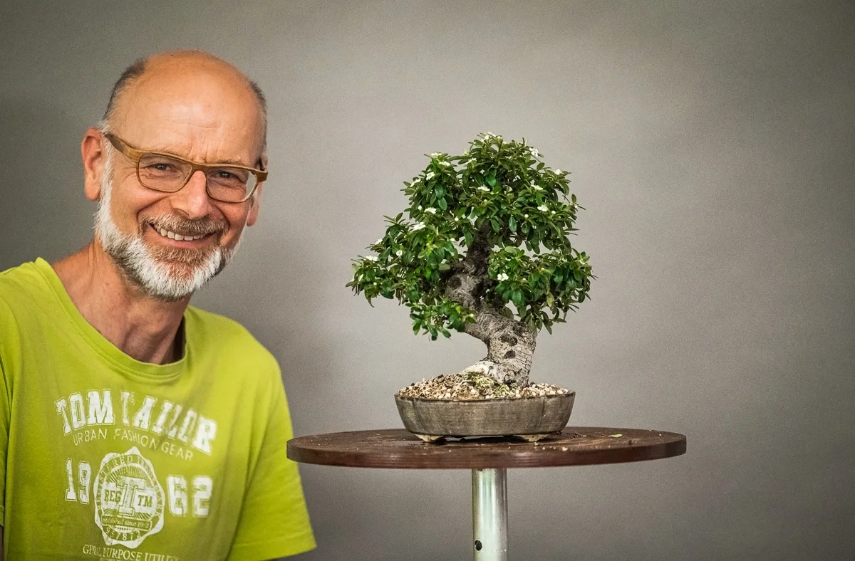 Beim Bonsai-Kreativ-Workshop mit Jan Culek: Bearbeitung eines Laubbaums im kleinen Format, mit dichter Krone.