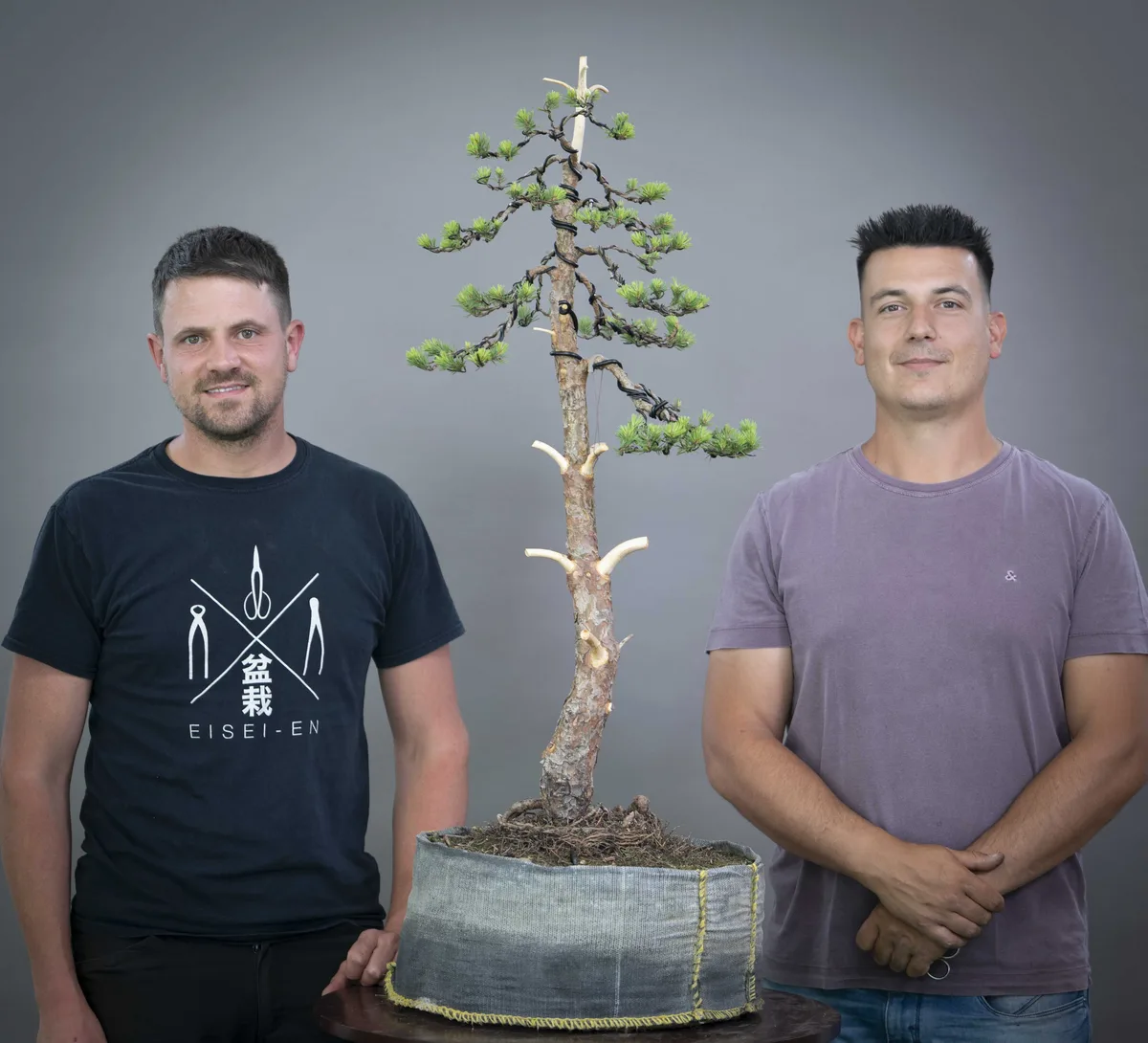 At the Bonsai Kreativ workshop with Yannick Kiggen: Workshop work on a larch in an upright form, with a slender silhouette.