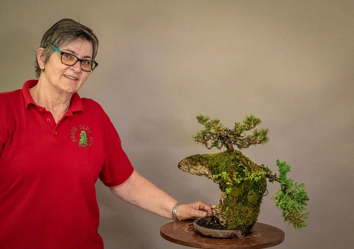 Beim Bonsai-Kreativ-Workshop mit Jan Culek: Bearbeitung eines Nadelbaums auf einer Felsgestaltung, in Kaskadenform.