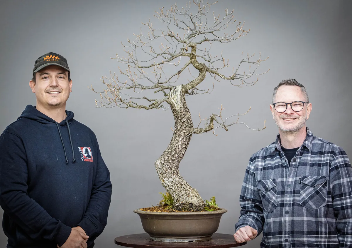 At the Bonsai Kreativ workshop with Yannick Kiggen: Workshop work on a bonsai without leaves.