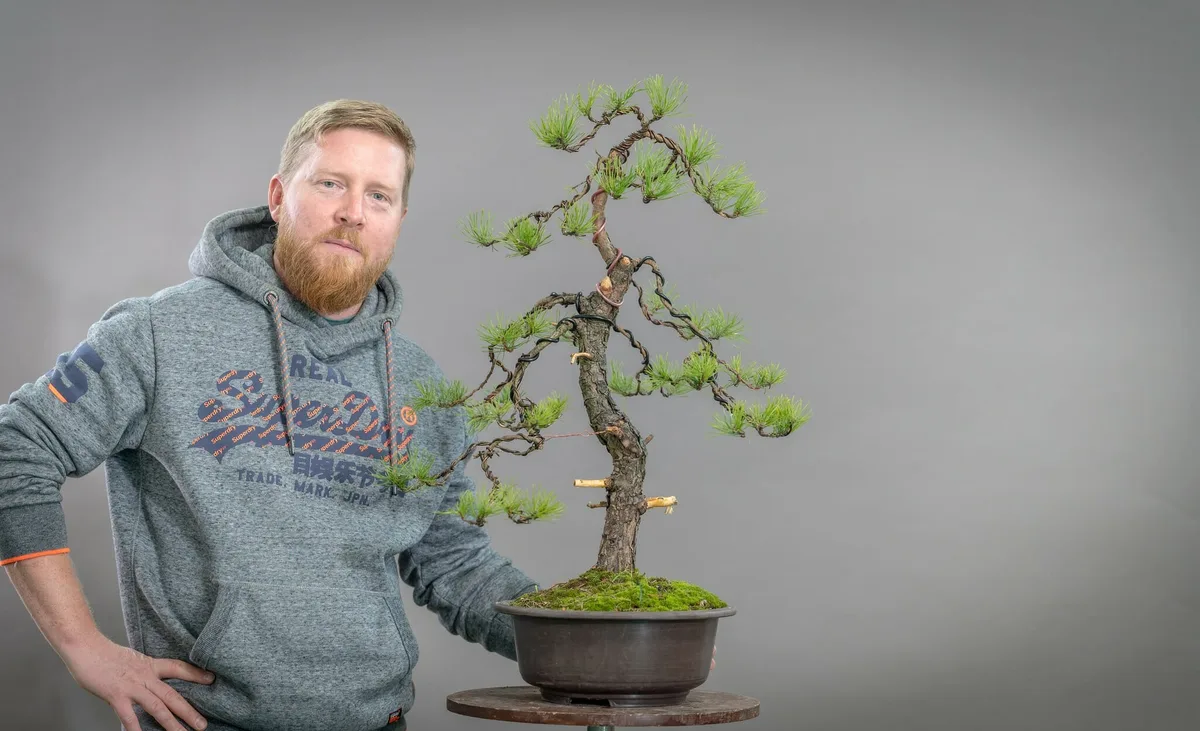 Beim Bonsai-Kreativ-Workshop mit Yannick Kiggen: Bearbeitung einer Kiefer mit schlanker Silhouette und gedrahteten Ästen.