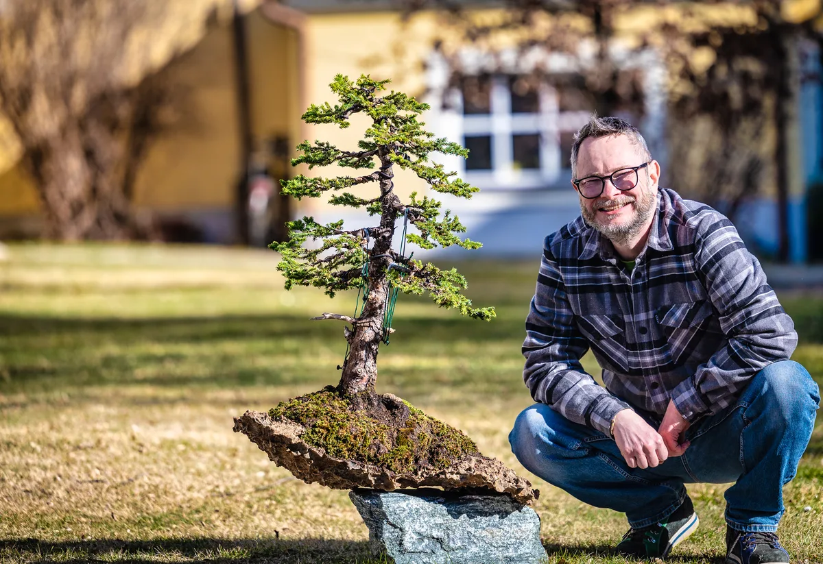 Beim Bonsai-Kreativ-Workshop mit Jan Culek: Bearbeitung eines Nadelbaums in aufrechter Form, auf einer Felsgestaltung.