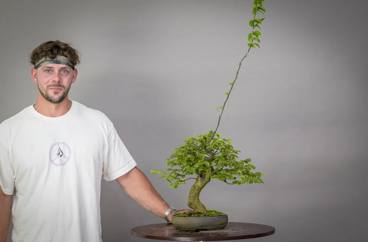 At the Bonsai Kreativ workshop with Václav Stropek: Workshop work on a broadleaf bonsai with long shoots and a dense crown.