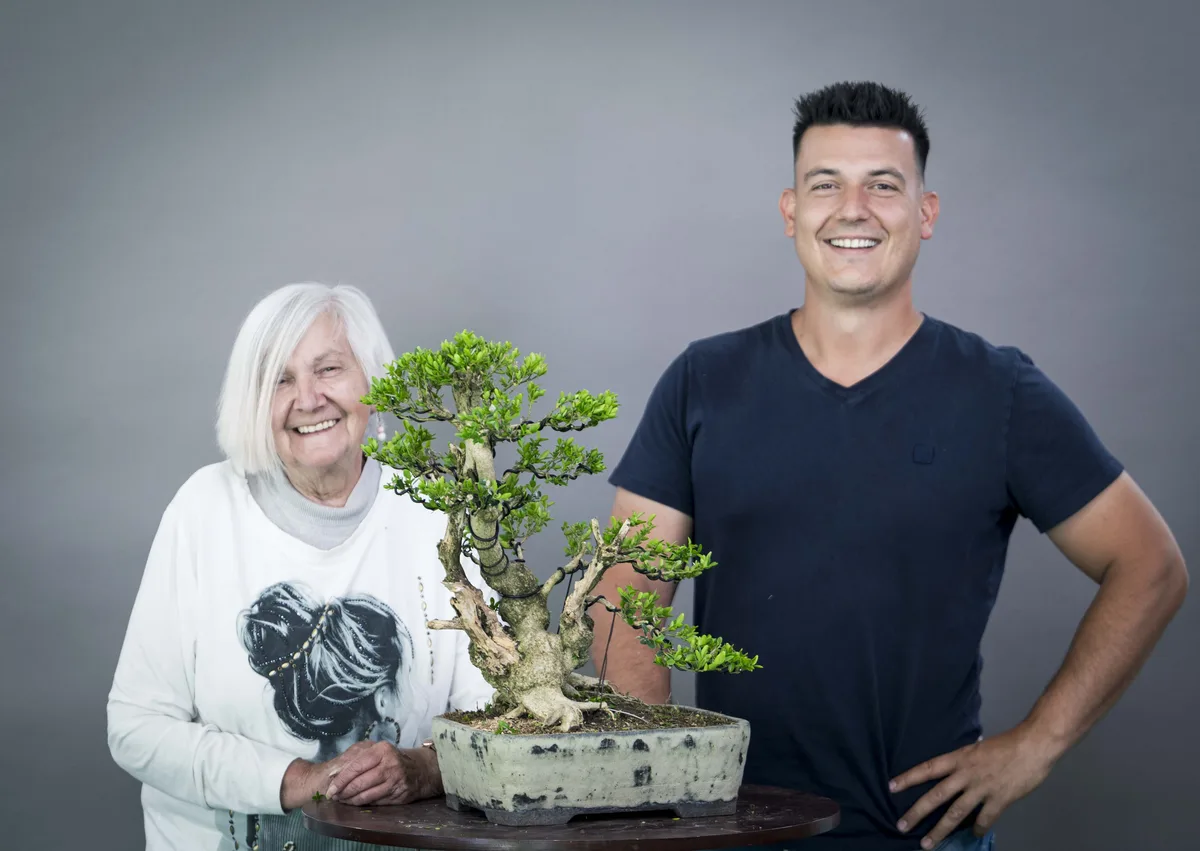 At the Bonsai Kreativ workshop with Yannick Kiggen: Workshop work on a broadleaf bonsai with a substantial trunk and a leafy crown.