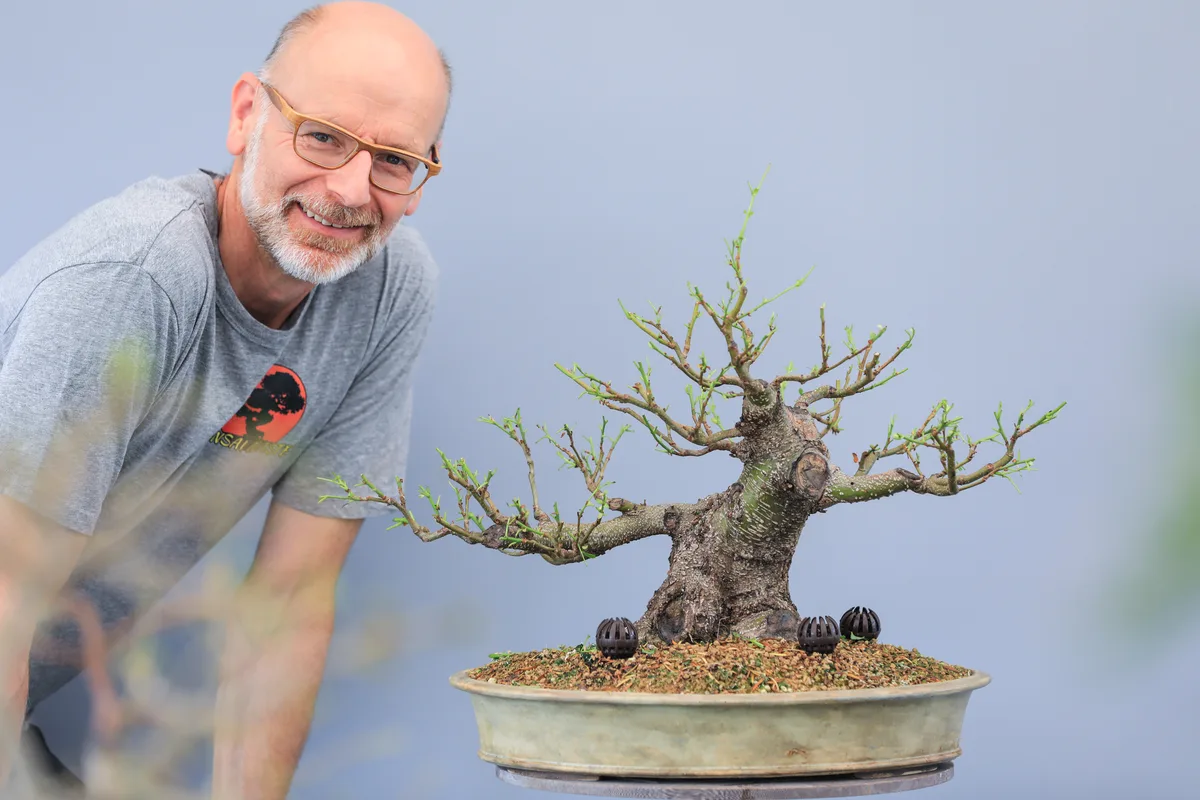 Beim Bonsai-Kreativ-Workshop mit Josef Burschl: Bearbeitung eines Laubbaums im kleinen Format, mit frischem Austrieb.