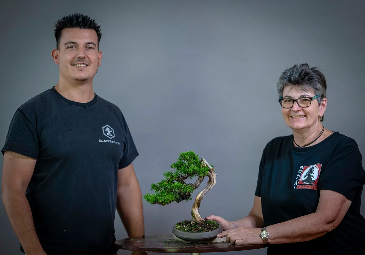 Beim Bonsai-Kreativ-Workshop mit Yannick Kiggen: Bearbeitung eines Wacholders im kleinen Format, mit geschwungenem Stamm.