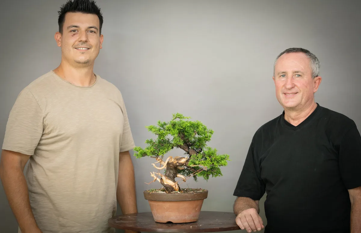 At the Bonsai Kreativ workshop with Yannick Kiggen: Workshop work on a juniper in a small format, with prominent deadwood.