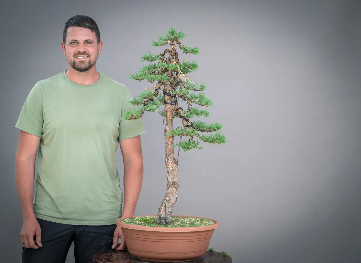 A workshop participant beside a tall pine with a slender trunk and wired branches.