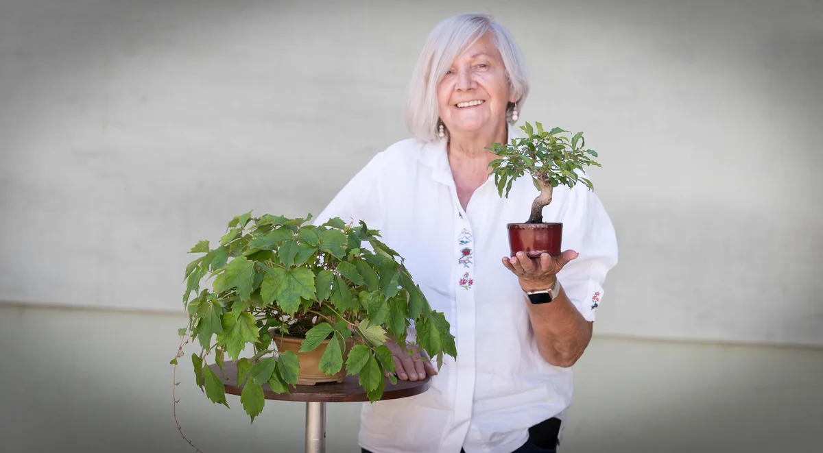 Mehrere Bonsai im kleinen Format werden beim Bonsai-Kreativ-Workshop bearbeitet.