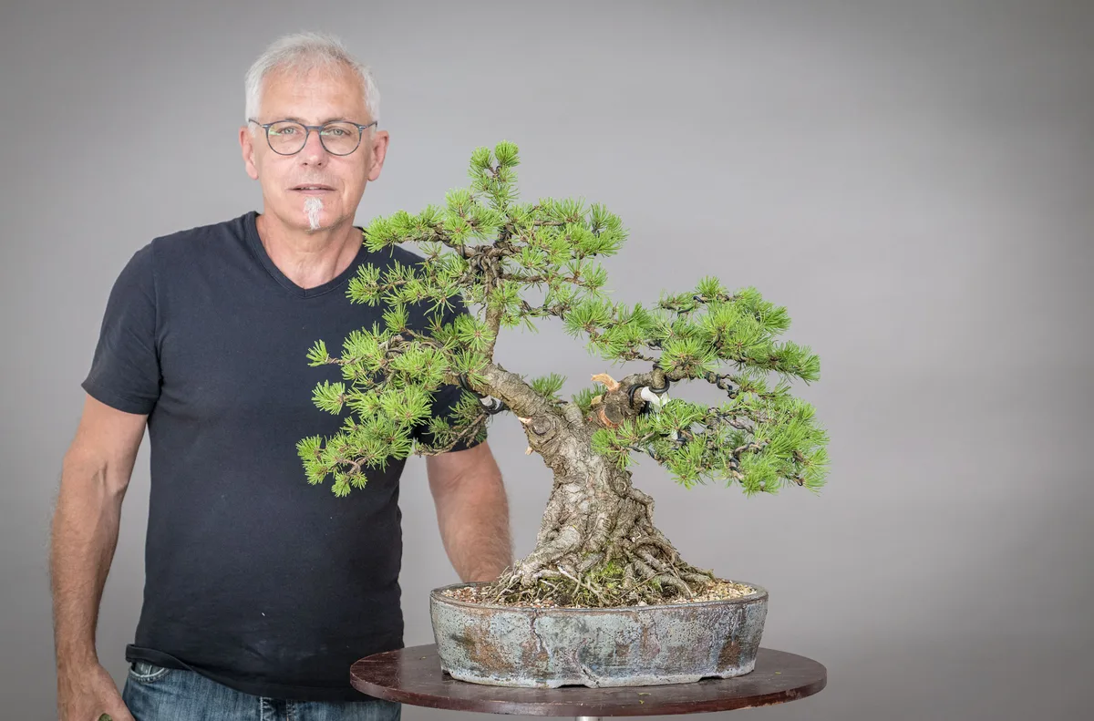 At the Bonsai Kreativ workshop with Václav Stropek: Workshop work on a pine with a pronounced root base and a broad crown.