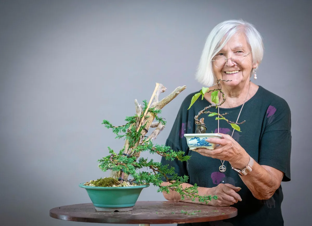 Mehrere Bonsai im kleinen Format werden beim Bonsai-Kreativ-Workshop bearbeitet.