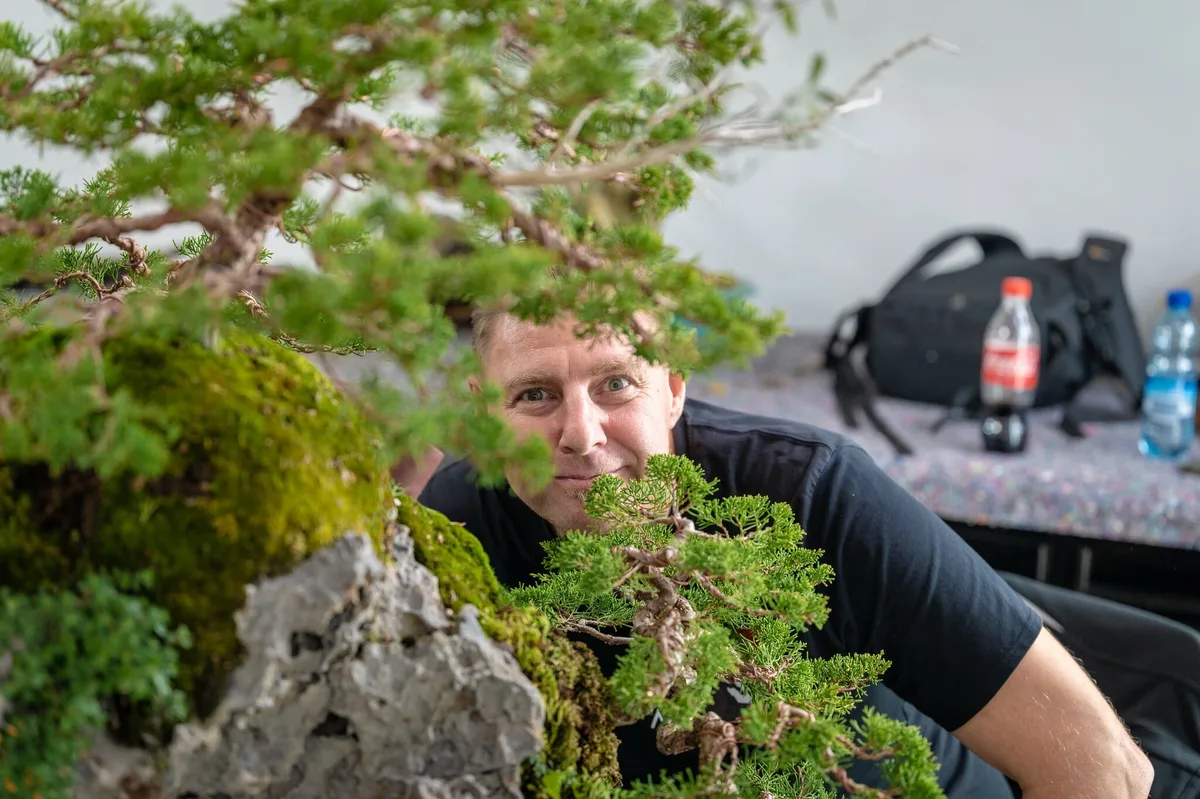 Beim Bonsai-Kreativ-Workshop mit Yannick Kiggen: Bearbeitung eines Nadelbaums auf einer Felsgestaltung, mit gegliederten Astpolstern.