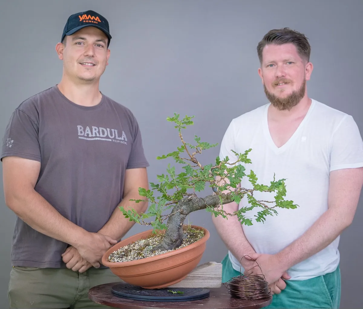 At the Bonsai Kreativ workshop with Yannick Kiggen: Workshop work on a broadleaf bonsai with a curved trunk and a leafy crown.