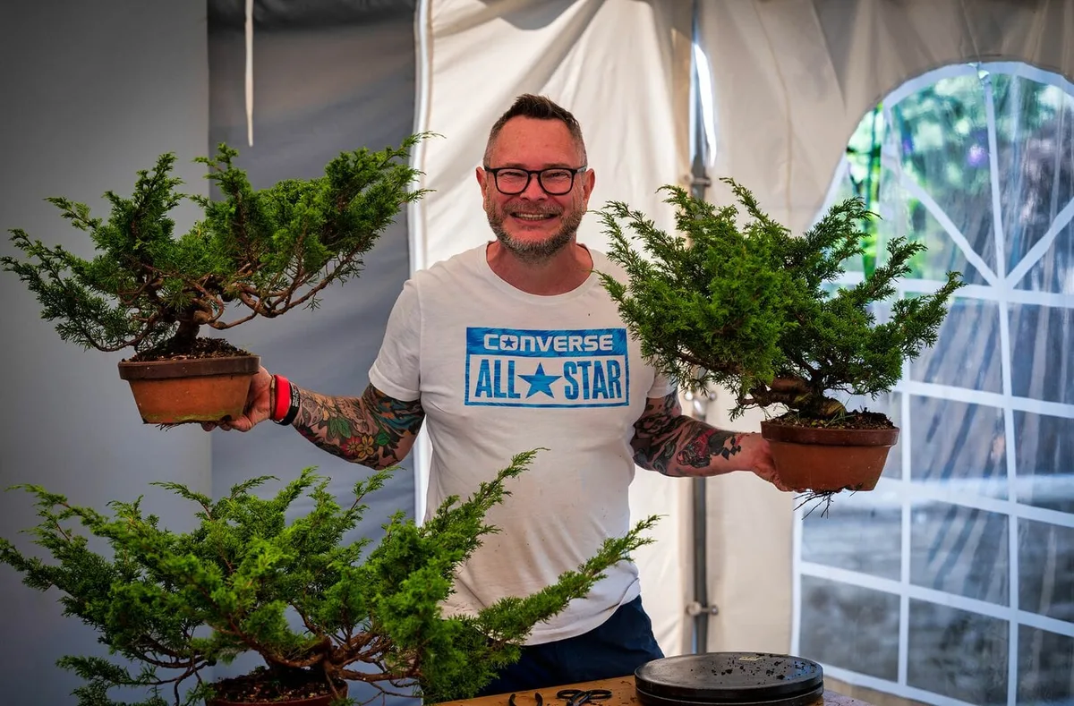 Mehrere Bonsai werden beim Bonsai-Kreativ-Workshop bearbeitet.