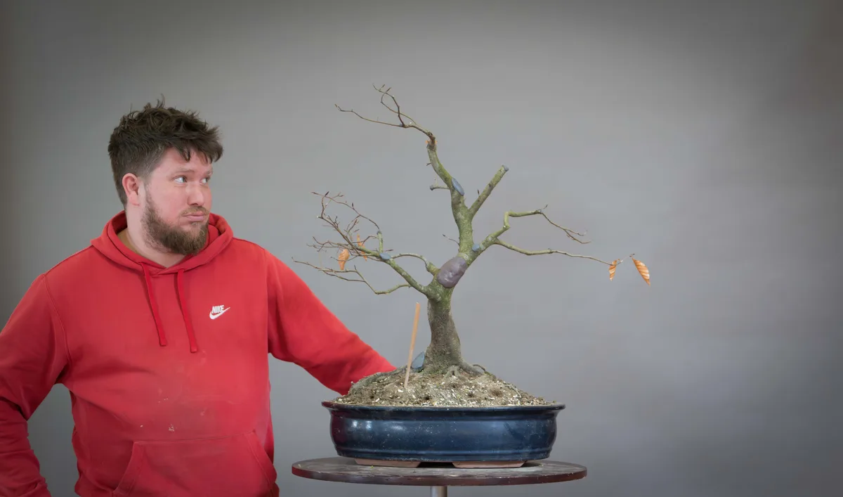 At the Bonsai Kreativ workshop with Václav Stropek: Workshop work on a broadleaf bonsai without leaves, in an upright form.