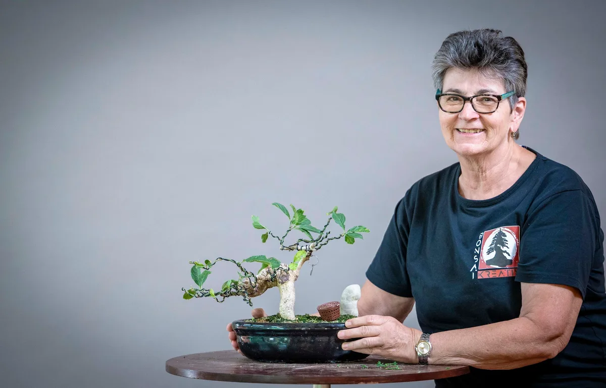 Beim Bonsai-Kreativ-Workshop mit Yannick Kiggen: Bearbeitung eines Laubbaums im kleinen Format, mit belaubter Krone.