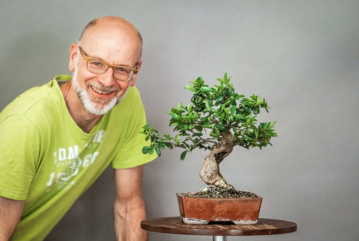 Beim Bonsai-Kreativ-Workshop mit Jan Culek: Bearbeitung eines Laubbaums im kleinen Format, mit belaubter Krone.