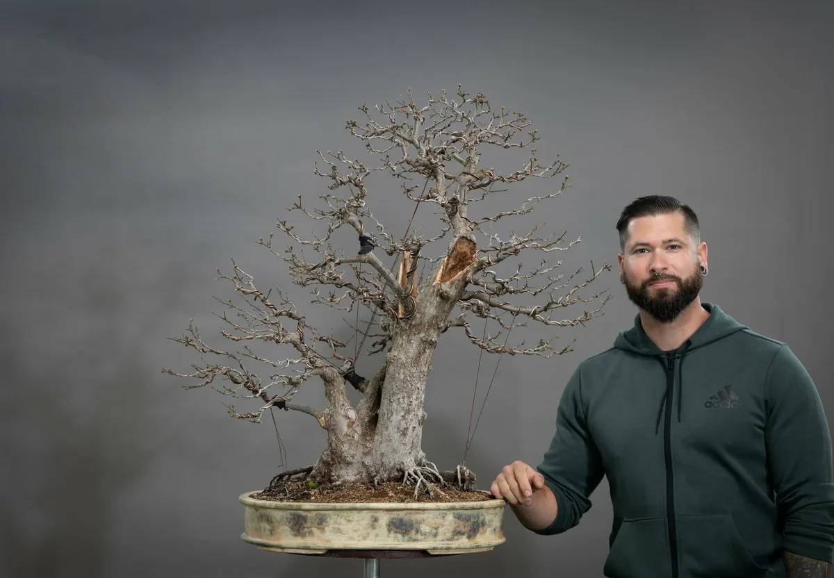 Beim Bonsai-Kreativ-Workshop mit Yannick Kiggen: Bearbeitung eines Laubbaums ohne Laub, mit mehreren Stämmen.