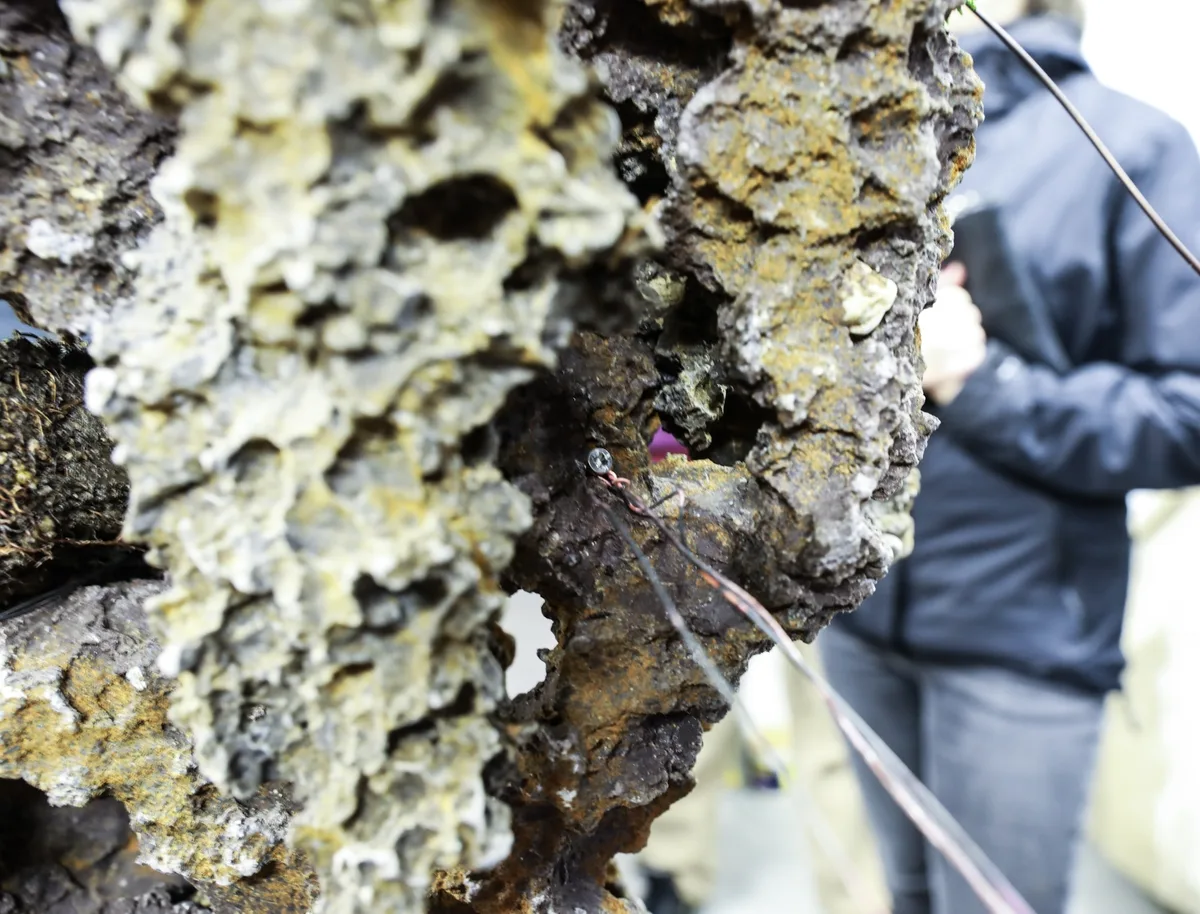 At the Bonsai Kreativ workshop with Josef Burschl: Close-up of a rock composition with clearly visible surface texture.