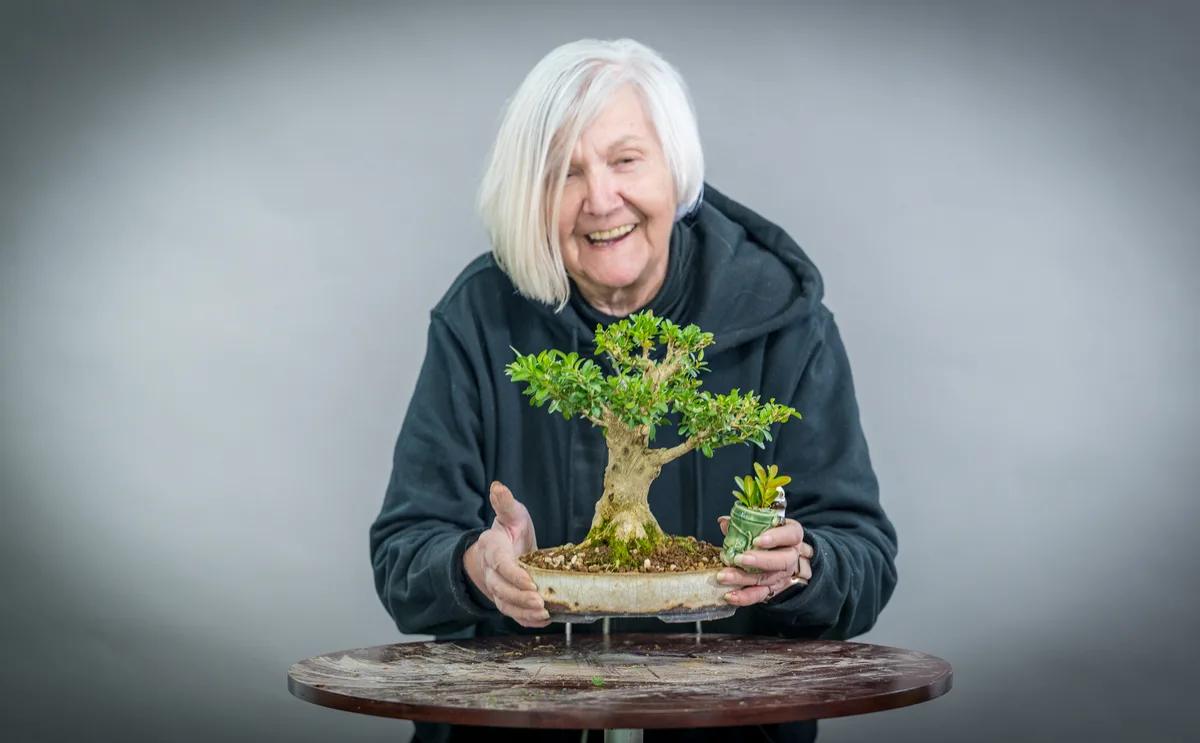 Beim Bonsai-Kreativ-Workshop mit Yannick Kiggen: Bearbeitung eines Laubbaums im kleinen Format, mit belaubter Krone.