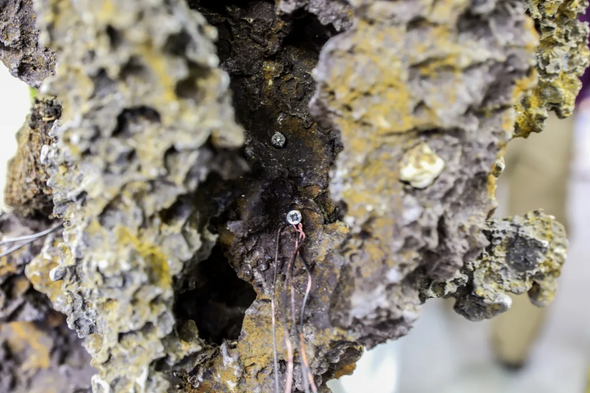At the Bonsai Kreativ workshop with Josef Burschl: Close-up of a rock composition with clearly visible surface texture.