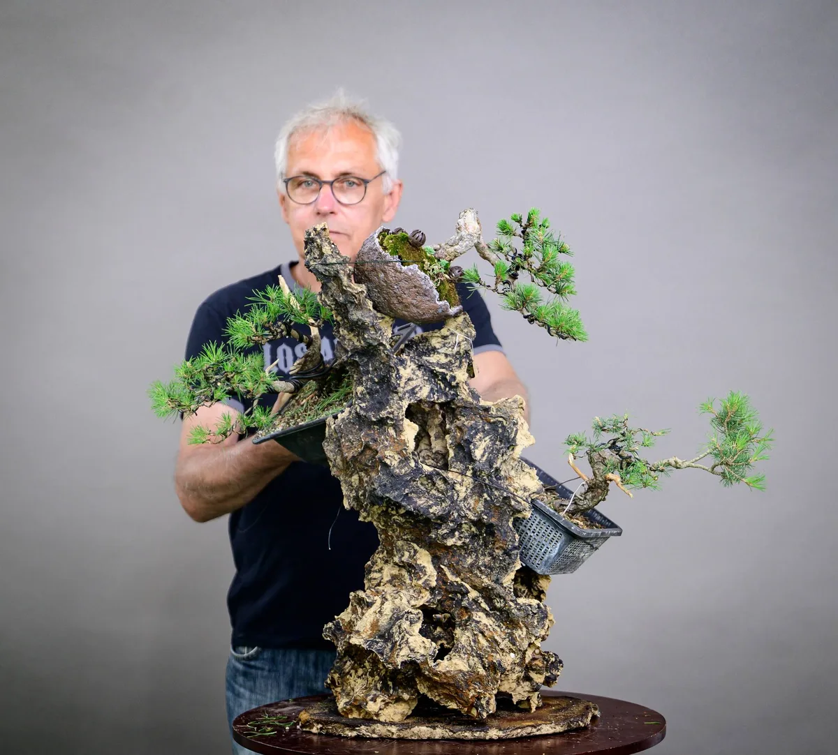 Beim Bonsai-Kreativ-Workshop mit Yannick Kiggen: Bearbeitung einer Kiefer auf einer Felsgestaltung, mit sichtbarer Benadelung.