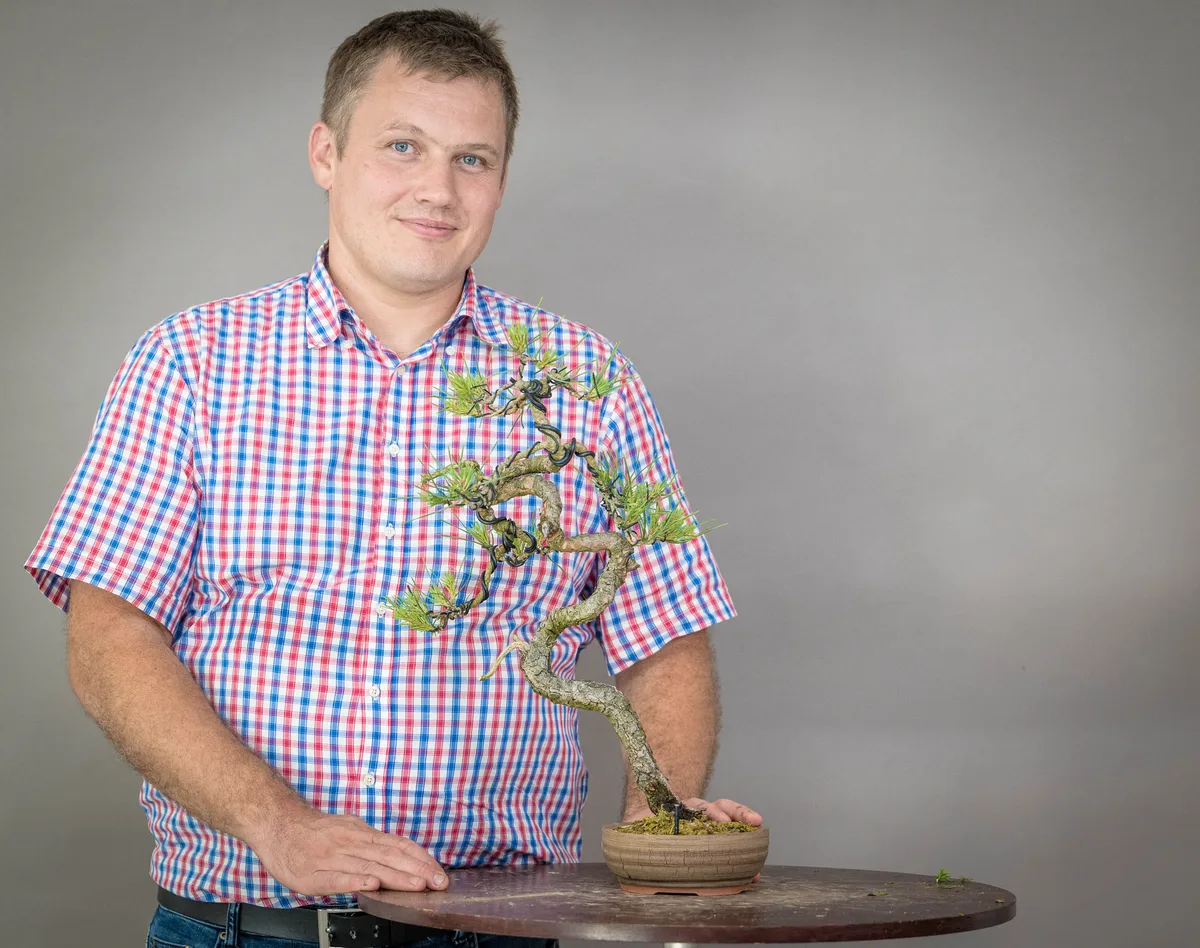 At the Bonsai Kreativ workshop with Václav Stropek: Workshop work on a pine in a small format, with a curved trunk.