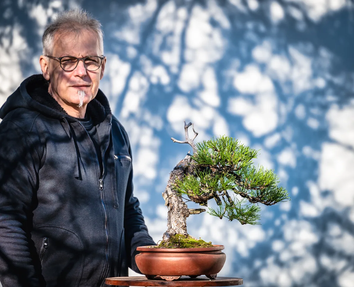 Beim Bonsai-Kreativ-Workshop mit Jan Culek: Bearbeitung einer Kiefer im kleinen Format, mit markantem Totholz.