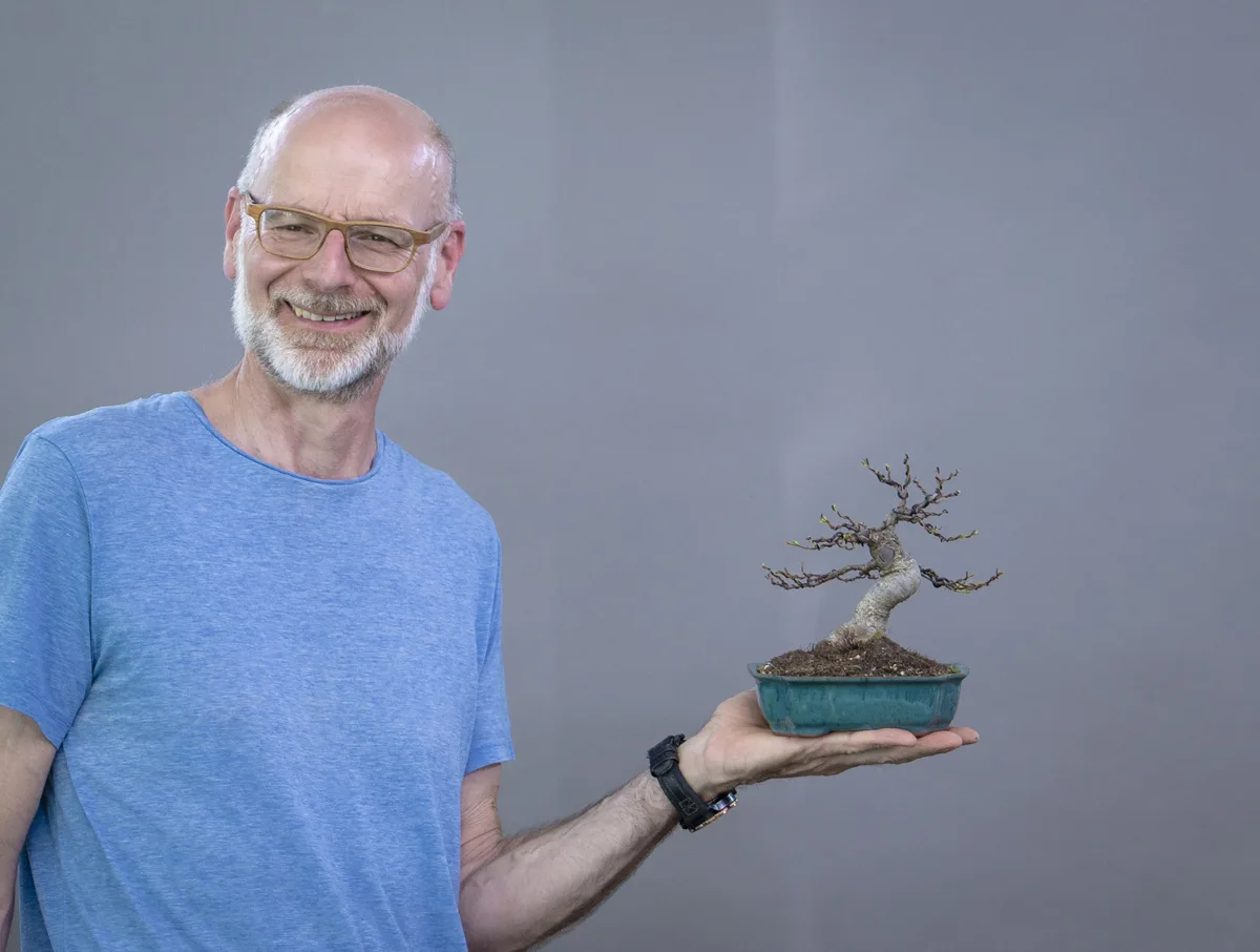 At the Bonsai Kreativ workshop with Yannick Kiggen: Workshop work on a broadleaf bonsai in a small format, without leaves.