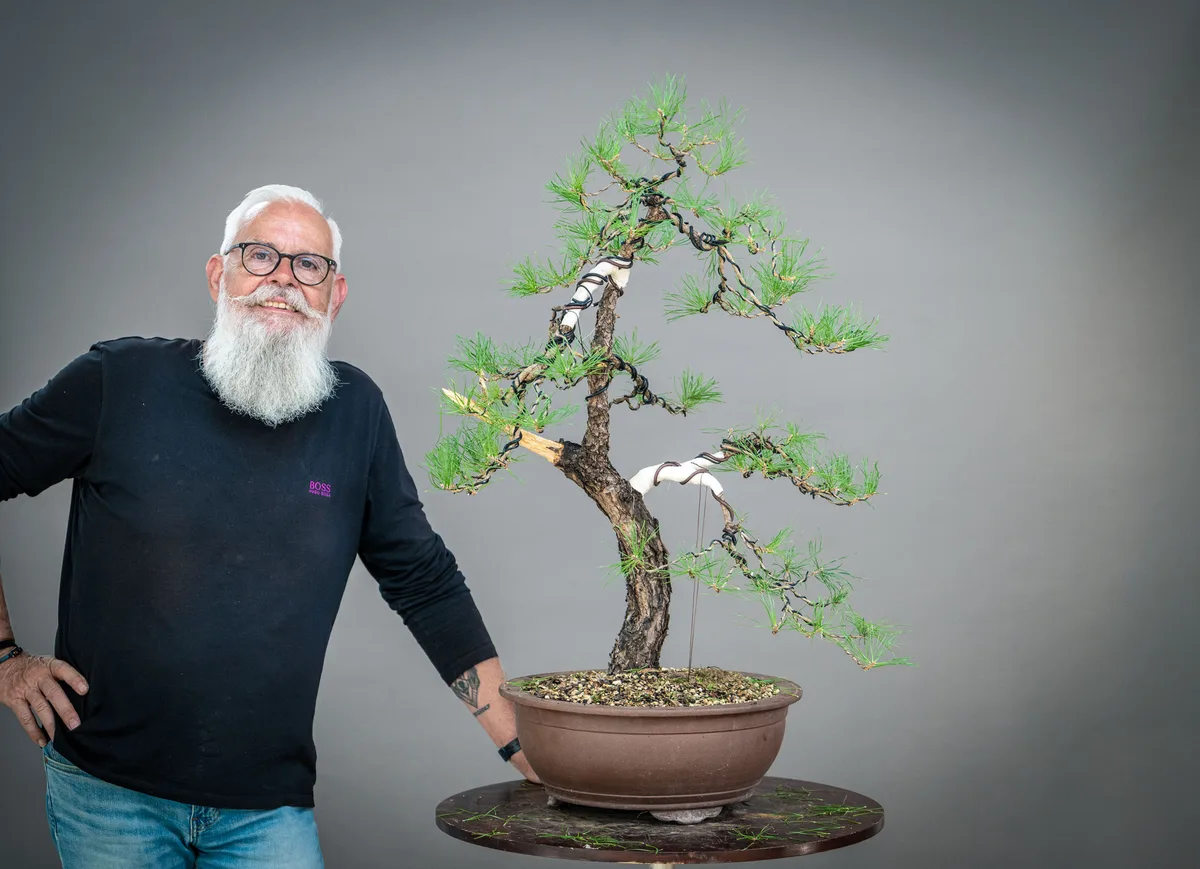 A participant beside a pine with widely spaced wired branches and protected bending points.