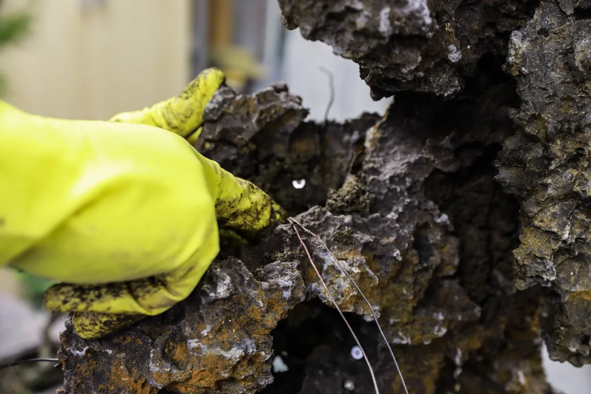 At the Bonsai Kreativ workshop with Josef Burschl: Close-up of a rock composition with clearly visible surface texture.