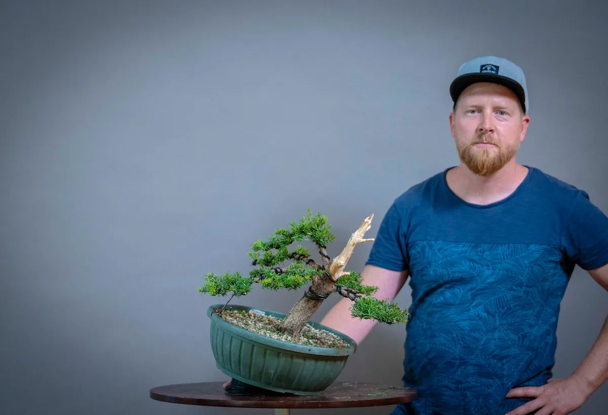 Beim Bonsai-Kreativ-Workshop mit Yannick Kiggen: Bearbeitung einer Eibe in geneigter Position, mit markantem Totholz.