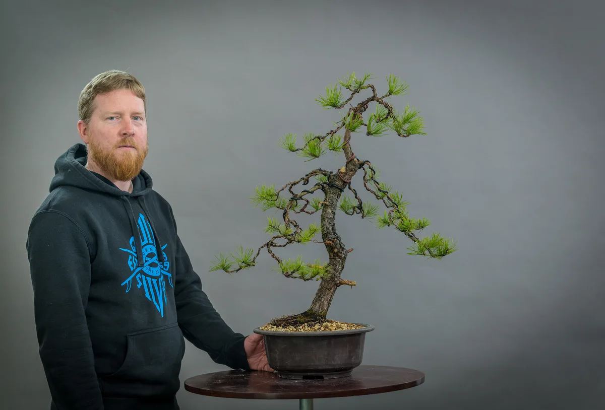 Beim Bonsai-Kreativ-Workshop mit Yannick Kiggen: Bearbeitung einer Kiefer mit schlanker Silhouette und gedrahteten Ästen.