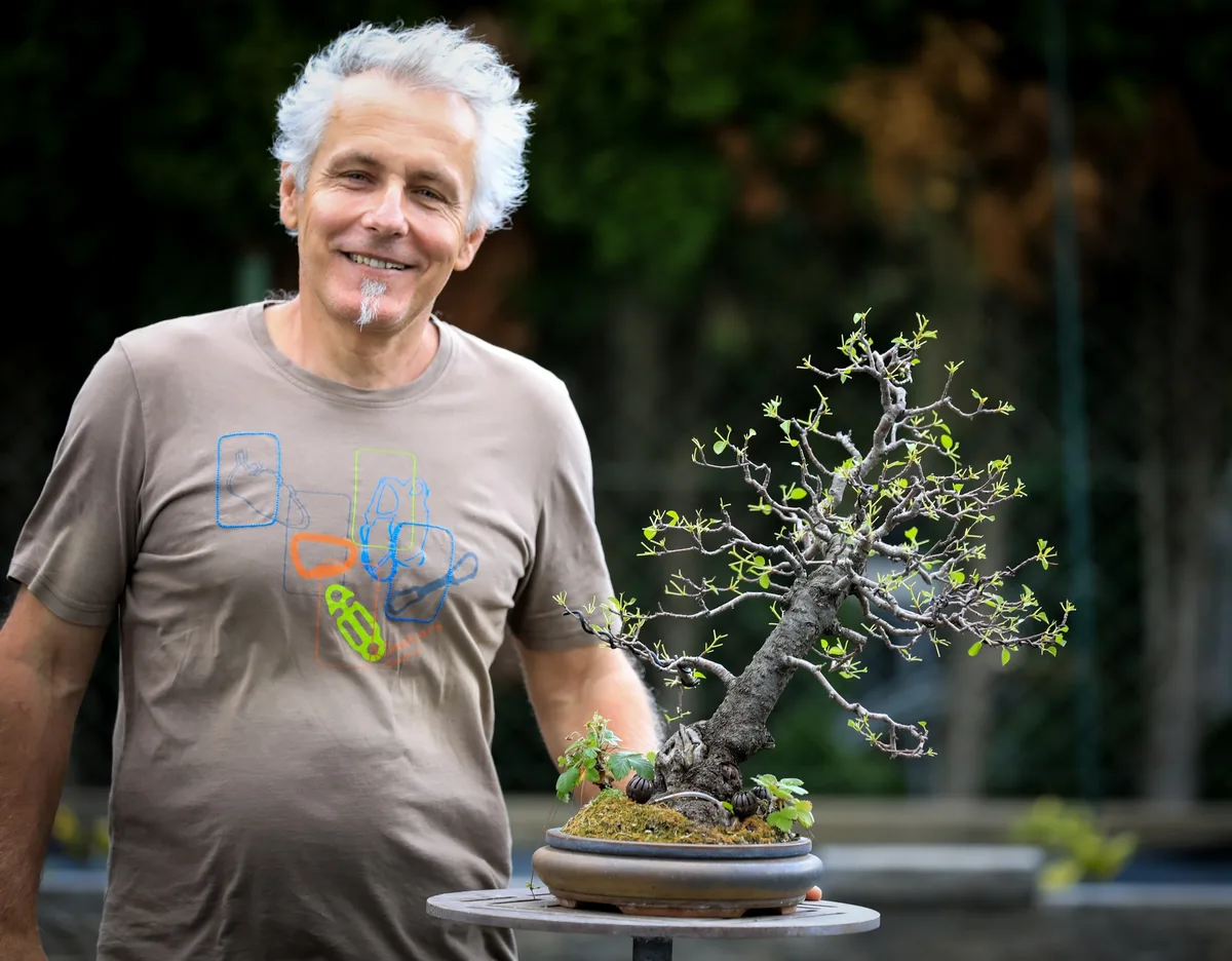 Beim Bonsai-Kreativ-Workshop mit Josef Burschl: Bearbeitung eines Laubbaums mit geschwungenem Stamm und frischem Austrieb.