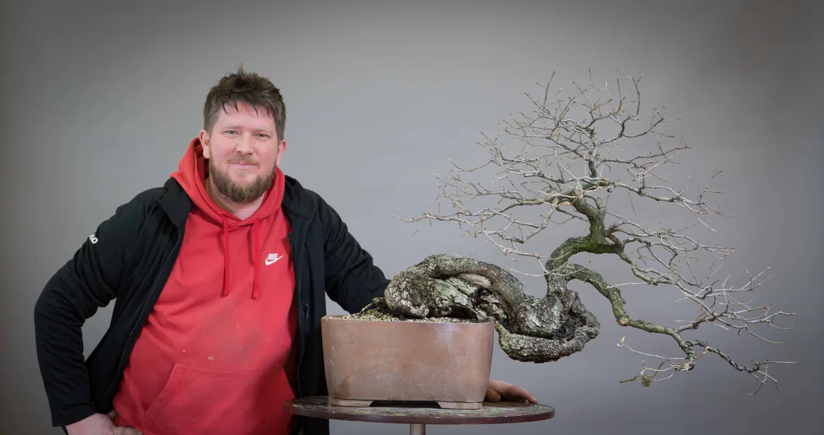At the Bonsai Kreativ workshop with Václav Stropek: Workshop work on an oak without leaves, in a cascading form.