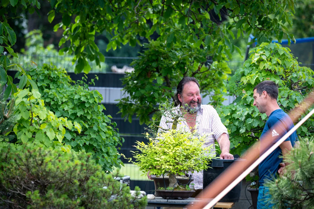 Beim Bonsai-Kreativ-Workshop mit Jan Culek: Workshop-Runde im Gespräch.