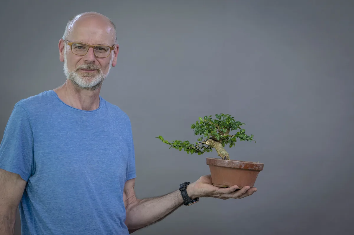 Beim Bonsai-Kreativ-Workshop mit Yannick Kiggen: Bearbeitung eines Laubbaums im kleinen Format, mit belaubter Krone.
