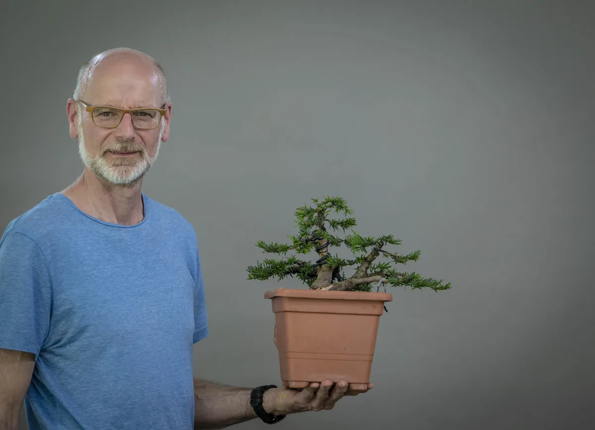 At the Bonsai Kreativ workshop with Yannick Kiggen: Workshop work on a conifer in a small format, with defined foliage pads.