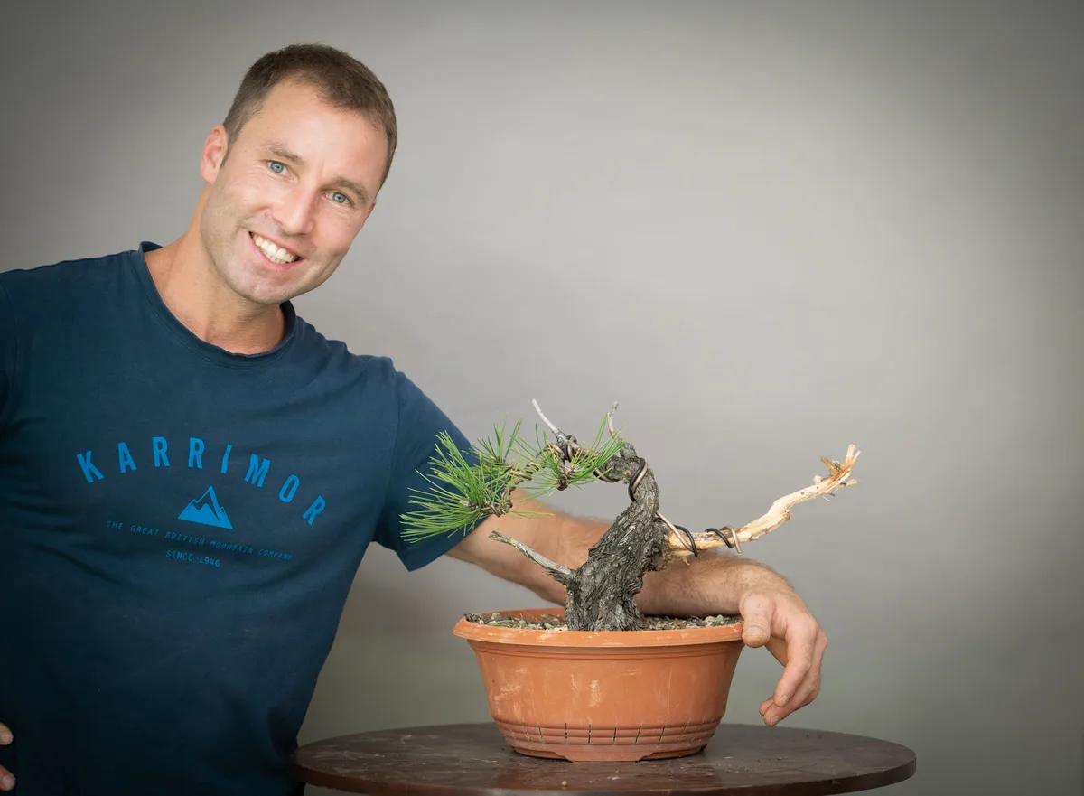 At the Bonsai Kreativ workshop with Yannick Kiggen: Workshop work on a pine with a low silhouette and prominent deadwood.