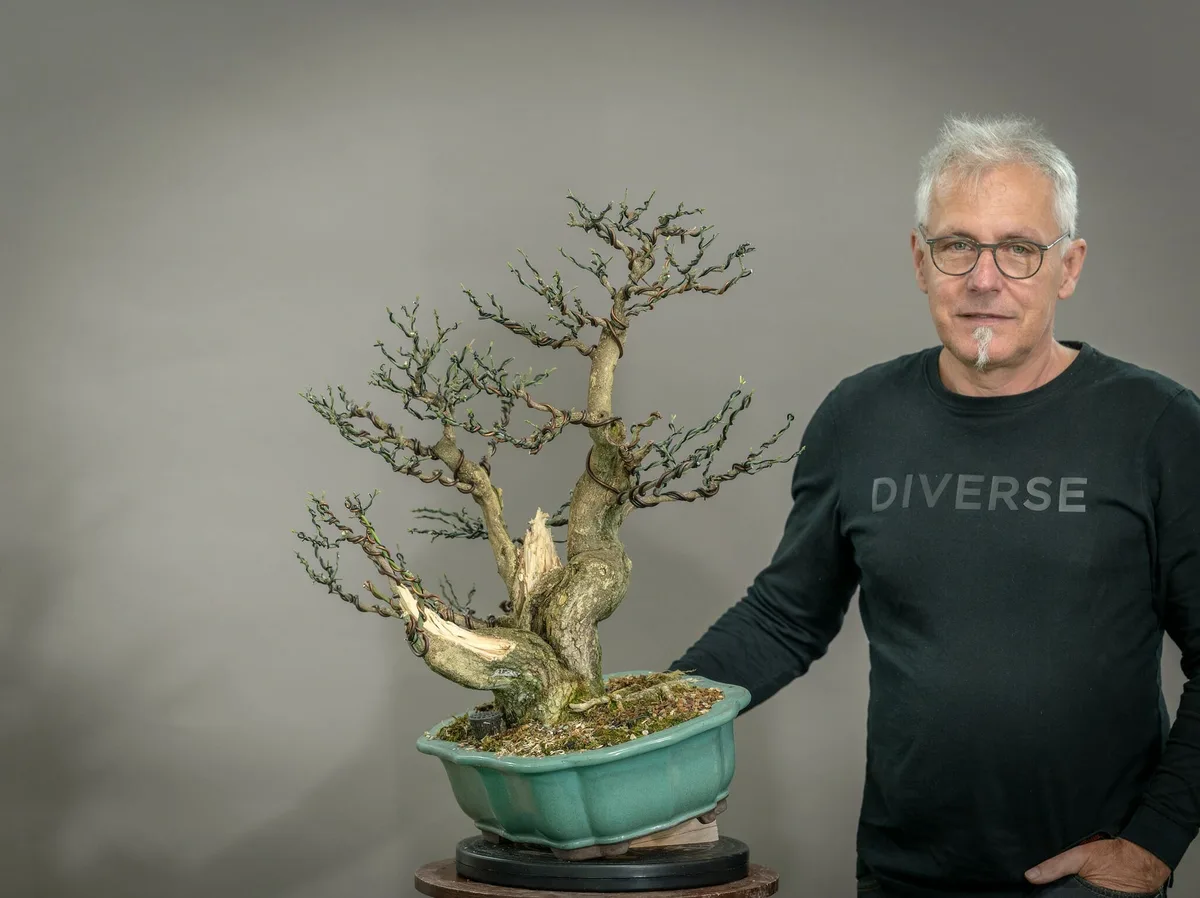 Beim Bonsai-Kreativ-Workshop mit Yannick Kiggen: Bearbeitung eines Laubbaums ohne Laub, mit markantem Totholz.
